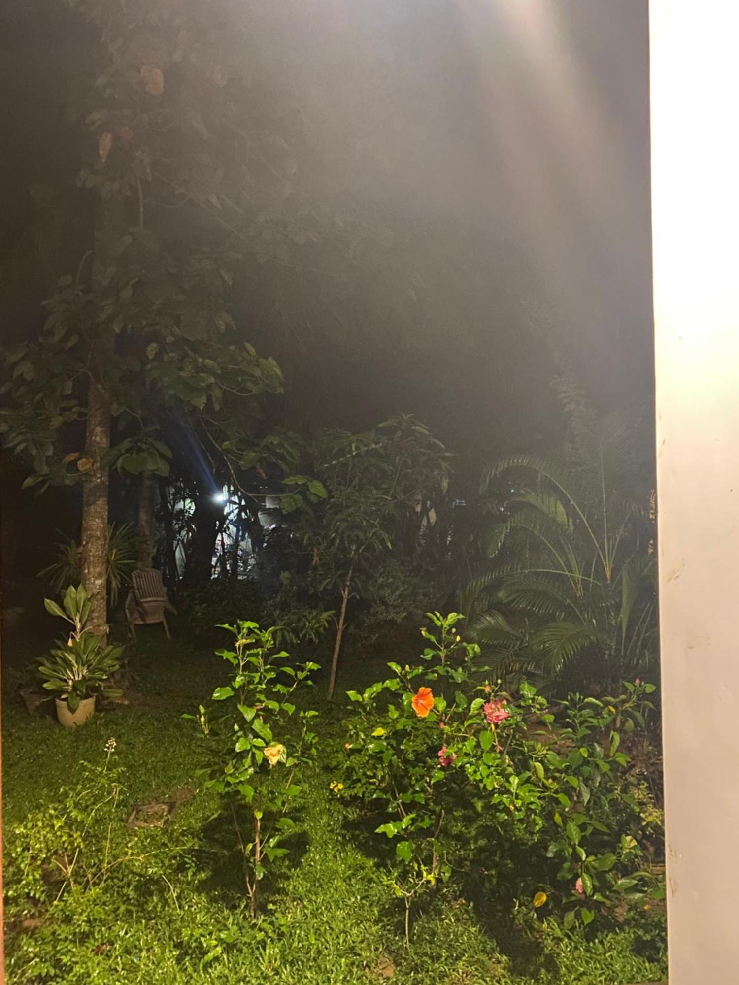 Talalla Ocean Beach Bungalow Matara Exterior foto